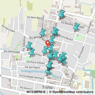 Mappa Via Montenero, 13039 Trino VC, Italia (0.208)