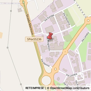 Mappa Via Progresso, 9, 46047 Porto Mantovano, Mantova (Lombardia)