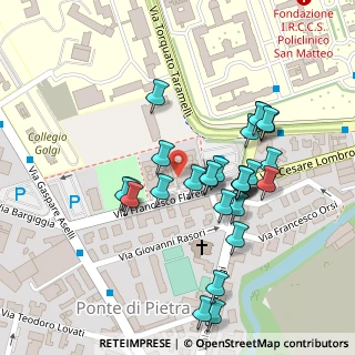 Mappa Via Francesco Flarer, 27100 Pavia PV, Italia (0.1)