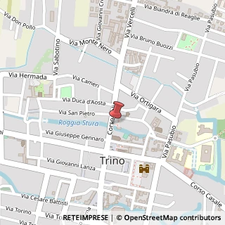 Mappa Piazza Audisio, 11, 13039 Trino, Vercelli (Piemonte)