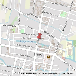 Mappa Corso italia 24/b, 13039 Trino, Vercelli (Piemonte)