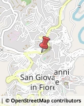 Via San Francesco d'Assisi, 225,87055San Giovanni in Fiore