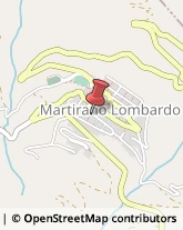 Contrada Petramone, 5,88040Martirano Lombardo