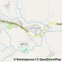 Map Gallese