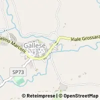 Map Gallese
