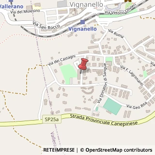 Mappa Via Ignazio Silone, 8, 01039 Vignanello VT, Italia, 01039 Vignanello, Viterbo (Lazio)