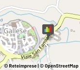 Falegnami,01035Viterbo