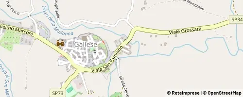 Mappa Gallese