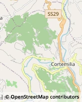 Imprese Edili Cortemilia,12074Cuneo