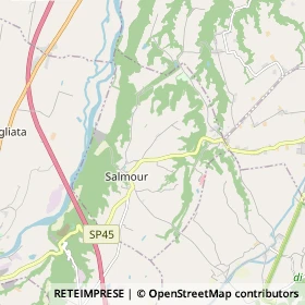 Mappa Salmour