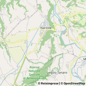 Mappa Narzole