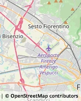 Ricerca Scientifica - Istituti Sperimentali e Stazioni Sesto Fiorentino,50019Firenze