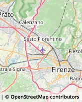 Allergologia - Medici Specialisti Firenze,50134Firenze