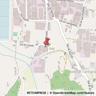 Mappa Via di Coselli, 15, 55012 Capannori, Lucca (Toscana)