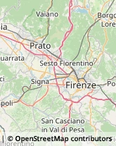 Disinfezione, Disinfestazione e Derattizzazione Firenze,50141Firenze