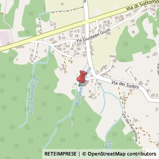 Mappa Via dei Sodini, 20, 55012 Capannori, Lucca (Toscana)