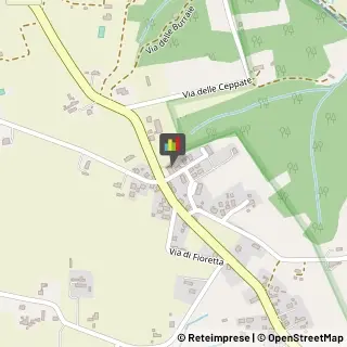 Macellerie Equine,50054Firenze