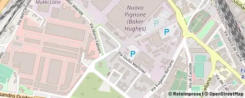 Mappa 피렌체