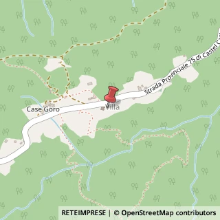 Mappa Via di Castel Castagnaio, 2A, 52015 Pratovecchio Stia, Arezzo (Toscana)