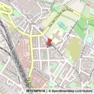Mappa Via Leopoldo Pellas, 47, 50141 Firenze, Firenze (Toscana)