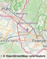 Giardinaggio - Servizio Firenze,50145Firenze