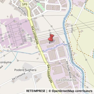 Mappa Via Lombarda, 119, 59016 Poggio a Caiano, Prato (Toscana)