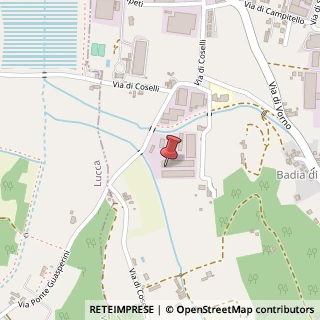 Mappa Via di Coselli, 45, 55012 Capannori, Lucca (Toscana)