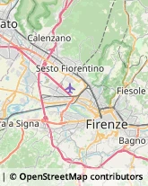 Agopuntura Campi Bisenzio,50013Firenze