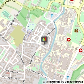 Professionali - Scuole Private,50141Firenze