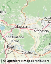 Internet - Provider Pescia,51017Pistoia