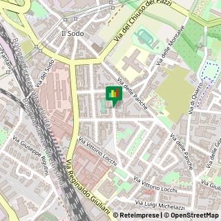 Via Leopoldo Pellas, 43,50141Firenze