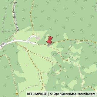 Mappa Località Regole, 1, 38011 Sarnonico, Trento (Trentino-Alto Adige)