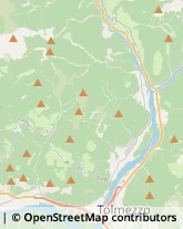 Aziende Agricole Arta Terme,33022Udine