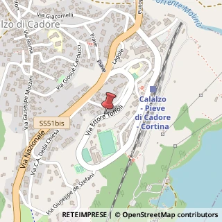 Mappa Via lagole 43, 32042 Calalzo di Cadore, Belluno (Veneto)