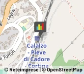 Ricerca Scientifica - Istituti Sperimentali e Stazioni Calalzo di Cadore,32042Belluno
