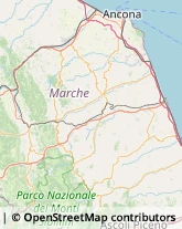 Consulenza di Direzione ed Organizzazione Aziendale Macerata,62100Macerata