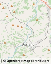 Agriturismi Asciano,53041Siena