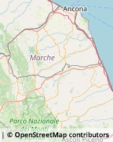 Rosticcerie e Salumerie Macerata,62100Macerata