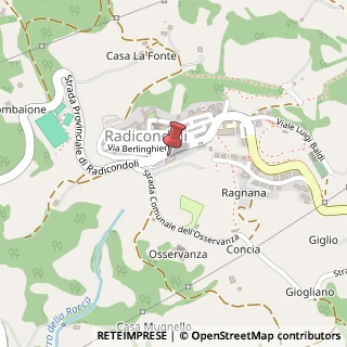 Mappa Viale Vittorio Veneto, 3, 53030 Radicondoli, Siena (Toscana)