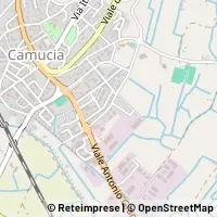 Map Cortona