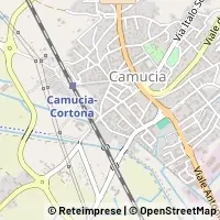 Peta Cortona