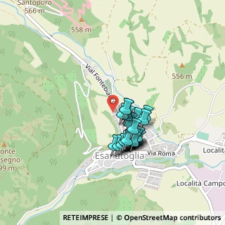 Mappa Via Alberico Pacini, 62024 Esanatoglia MC, Italia (0.34074)