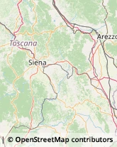 Ristoranti Siena,53100Siena