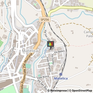 Palestre e Centri Fitness,62024Macerata