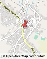 Piazza Garibaldi, 1,52045Foiano della Chiana