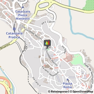 Società di Telecomunicazioni Catanzaro,88100Catanzaro