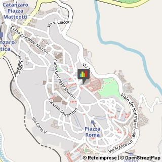Articoli da Regalo - Dettaglio,88100Catanzaro