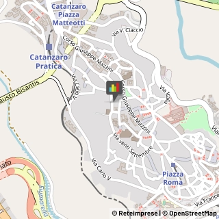 Riso,88100Catanzaro