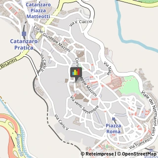 Porcellane - Dettaglio Catanzaro,88100Catanzaro