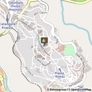 Pelletterie - Dettaglio,88100Catanzaro